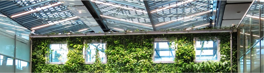 πράσινη στέγη και βιοκλιματικό σπίτι